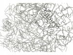 cdeda5069ae0fff5cb76d26ad3062c15