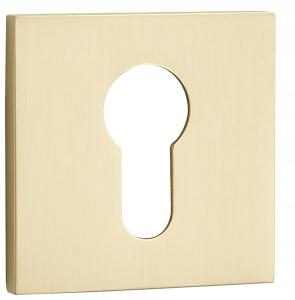 KURZER QUADRATISCHER SCHILDEREINSATZ SCHLANK GOLD GEBÜRSTET SCHMAL LICHT 6 MM