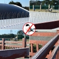 METALOWE KOLCE STALOWE NA PTAKI GOŁĘBIE WRÓBLE NA PARAPET GZYMS 50 cm