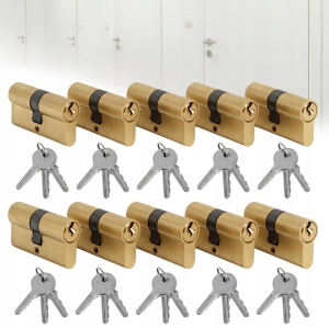10 Stück Türeinsätze 30V30 für Ein-Schlüssel-Systemschlösser