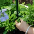 PERGOLA OGRODOWA TARASOWA METALOWA PODPORA DO PNĄCZY RÓŻ KWIATÓW 50X10CM