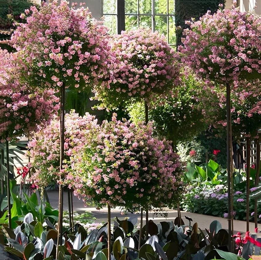 PERGOLA OGRODOWA TARASOWA METALOWA PODPORA DO PNĄCZY RÓŻ KWIATÓW 50X10CM