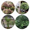 PERGOLA OGRODOWA TARASOWA METALOWA PODPORA DO PNĄCZY RÓŻ KWIATÓW 50X10CM