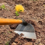 MOTYKA HACZKA KOPACZKA OGRODOWA DO PIELENIA PLEWIENIA ROŚLIN CHWASTÓW 32CM