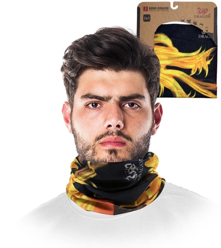 BAND-DRAGON a.png