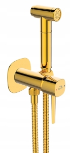 VERDECKTES BIDET FIXIERER GOLD DUSCHE SET