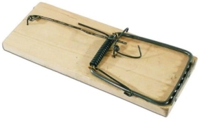Mauspfote aus Holz Ratten